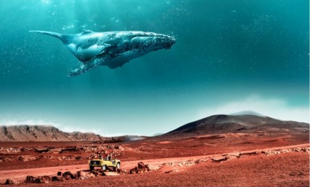 Nouvelle campagne de communication