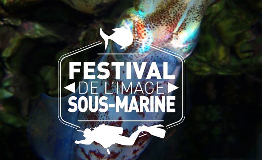 Le Festival de l’image sous-marine de La Réunion