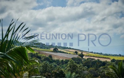 Location Saisonnière208 Le Coco Bleu