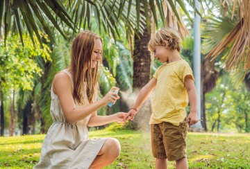 Dengue à La Réunion : conseils pour vos clients