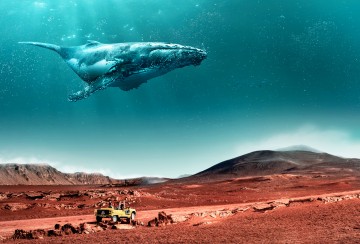 Nouvelle année, nouvelle campagne de communication