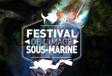 Le Festival de l’image sous-marine de La Réunion