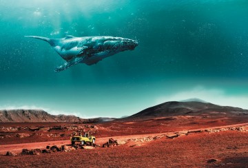 Fréquentation touristique premier semestre 2019